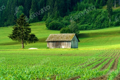 Preview: Cycleway of Pusteria valley at summer