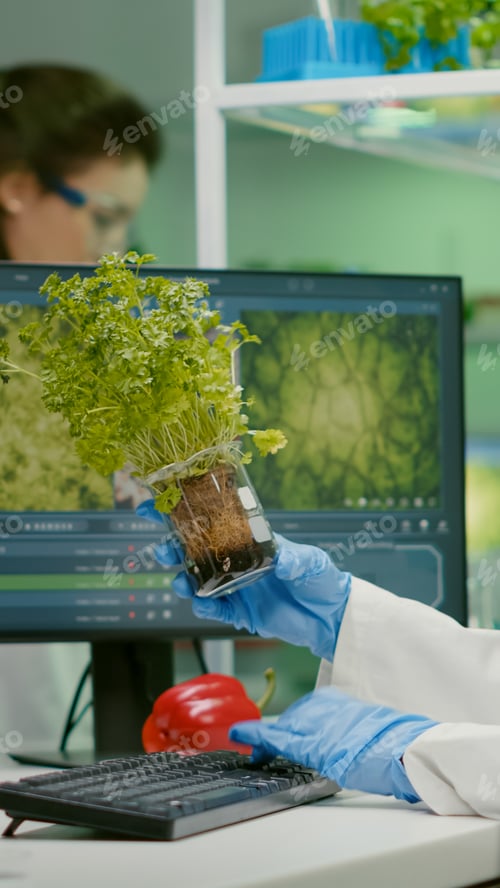 Preview: African woman researcher analyzing gmo of tomato and sapling