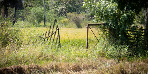 Preview: Rustic aged metal gate opening into t he paddy field, rural village landscape photograph.