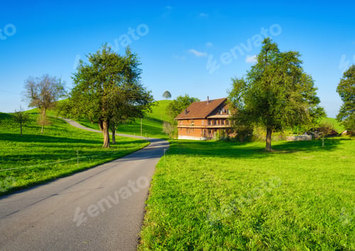 Preview: The Swiss countryside. Tree on top of the hill. Fields and pastures.