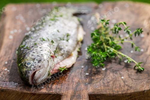 Preview: Fresh whole trout with salt and herbs