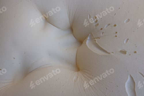 Preview: High angle shot of a white memory foam