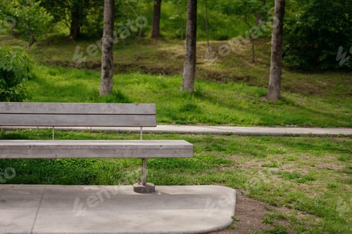 Preview: Bench in the summer park.