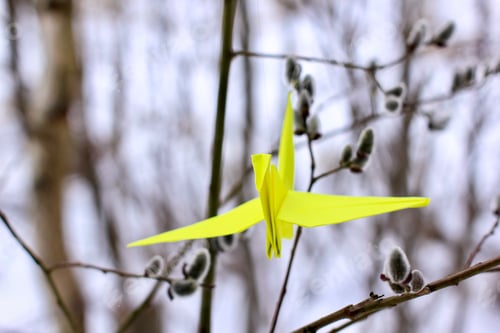 Preview: Bright origami paper cranes on the branches of a willow. The concept of hope, happiness, peace.
