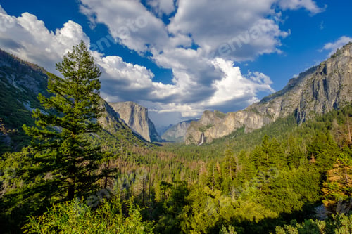 Preview: Yosemite National Park Valley summer landscape