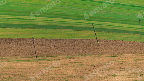 Preview: Landscape with green plowed farm fields