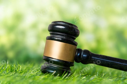 Preview: A wooden gavel on vibrant green grass.