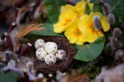 Preview: decorative easter nest made of natural materials-moss, tree branches, colorful bird feathers