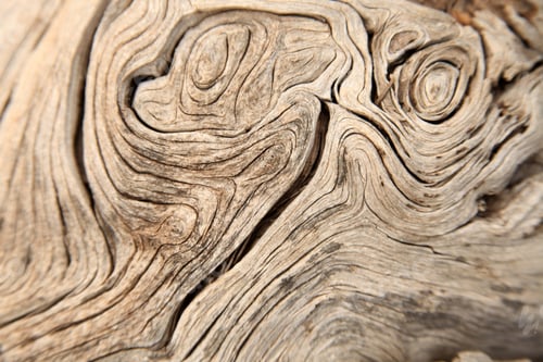 Preview: Tree