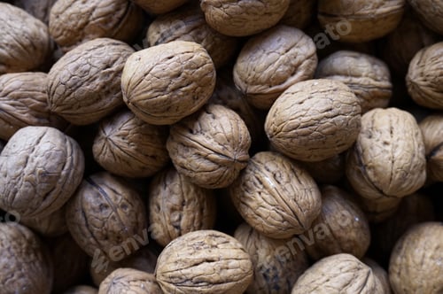 Preview: Pile of dry walnuts with shells