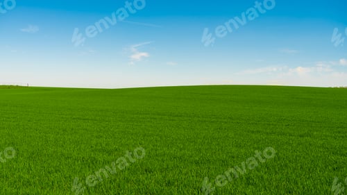 Preview: Idyllic grassland, rolling green fields, blue sky and white clouds in the background
