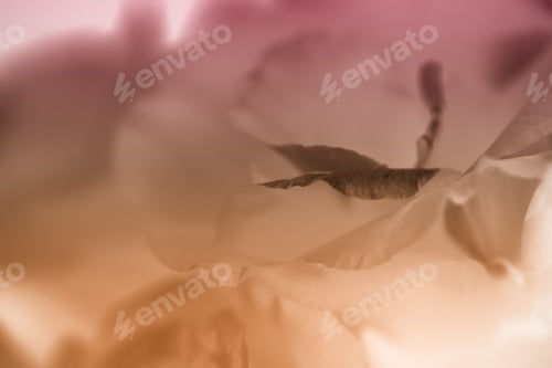 Preview: The Flowers Are Bright In Sunny Day Background Image