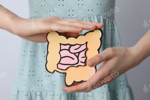 Preview: Concept of health care and internal organs - intestines