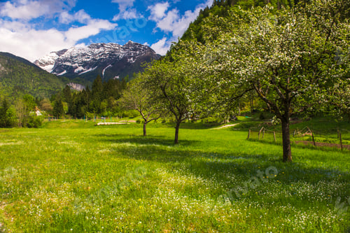 Preview: Soca Valley, Slovenia. Julian Alps, seen from Soca Valley in Triglav National Park, Julian Alps, Slo