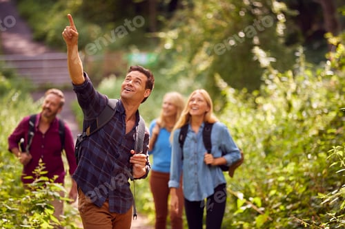 Preview: Mature And Mid Adult Couples In Countryside Hiking Along Path Through Forest Together