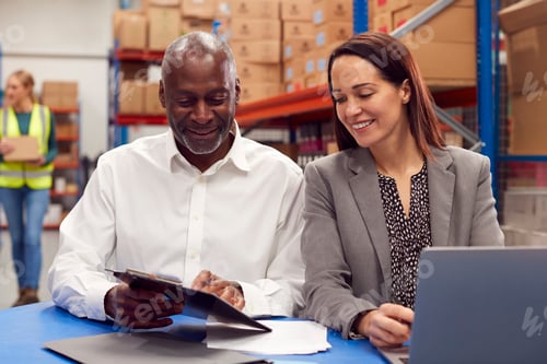 Preview: Male And Female Team Leaders Working On Laptop In Warehouse With Workers In Background