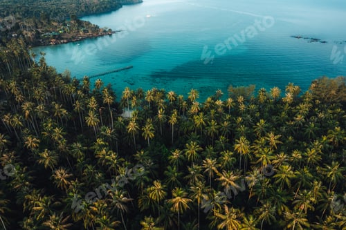 Preview: Aerial view island and coconut groves on the island in the morning