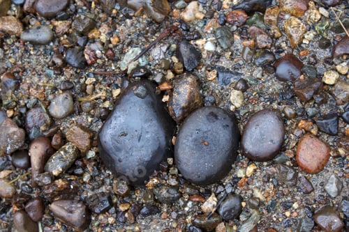 Preview: Four Large Stones