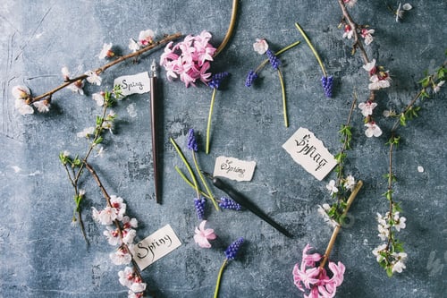Preview: Spring blossom flowers