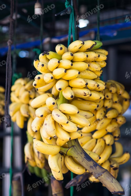 Preview: branch of tasty bananas selling on market