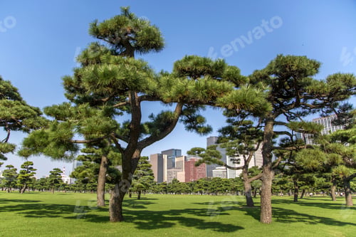 Preview: Beautiful green park garden with city view inTokyo, Japan