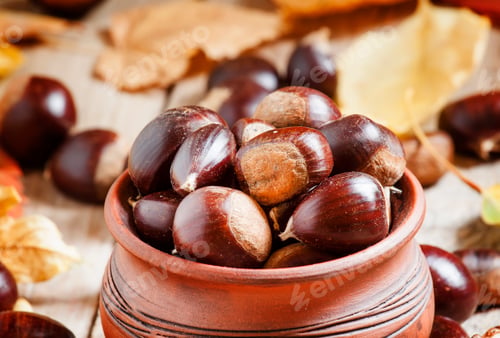 Preview: Edible chestnut harvest in a clay pot in the autumn with fallen leaves