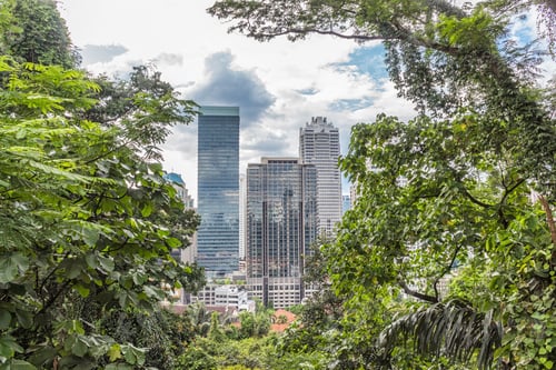 Preview: a modern city surrounded by jungle