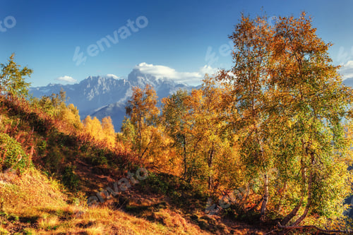Preview: Autumn landscape and snowy mountain peaks.