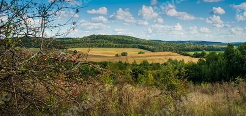 Preview: fields, dry autumn herbs, forests under a bright blue sky with clouds