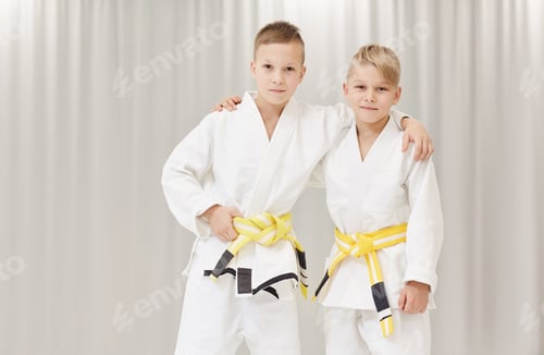 Preview: Two partners in karate