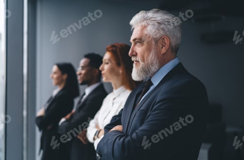 Preview: Group of diverse businesspeople standing in room