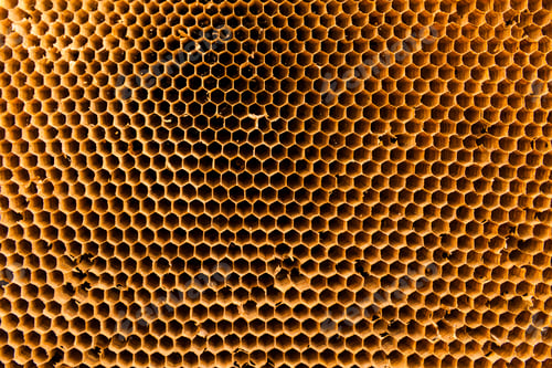 Preview: Texture of honeycomb. Natural abstract background.