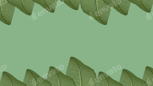 Preview: Minimal summer exotic concept with copy space.