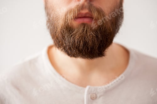 Preview: Beard man. Close-up cropped image of bearded mens face isolated on grey