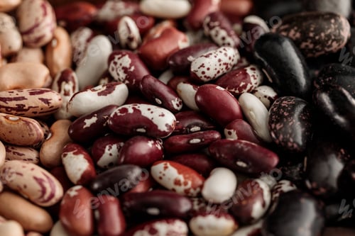 Preview: close up view of diverse uncooked beans