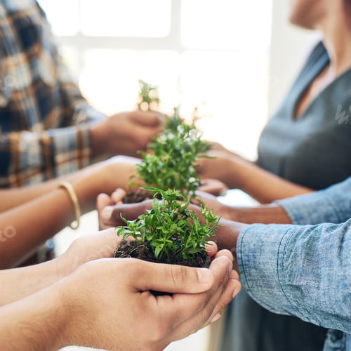 Preview: Business at root level. Cropped shot of a team of colleagues holding a plant.