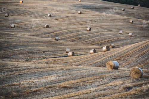 Preview: Hay bales