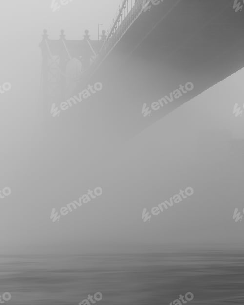 Preview: Manhattan Bridge covered in fog view from east river