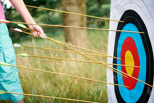 Preview: Detail of girl hand retrieving archery arrows from target