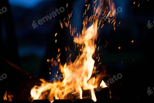Preview: bright light with large sparks. The concept of nature.