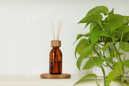 Preview: Aromatic reed air freshener and beautiful houseplant on white table indoors