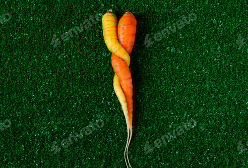Preview: Two carrots of orange and yellow colors intertwined on green grass. Ugly food