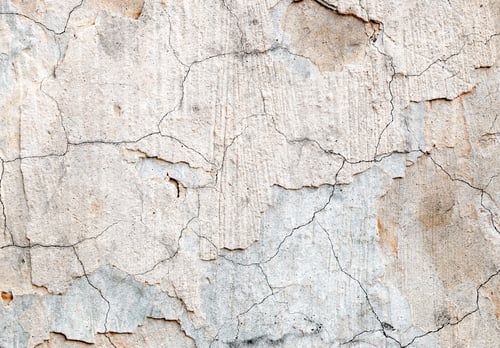 Preview: Light Gray Stucco Wall Texture. Abstract Background
