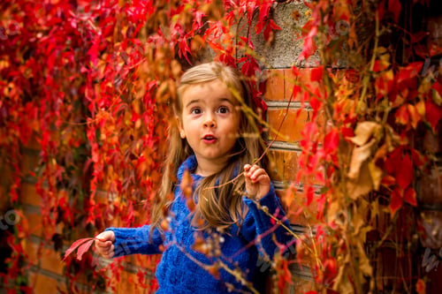 Preview: little girl on a beautiful background of autumn wild grapes