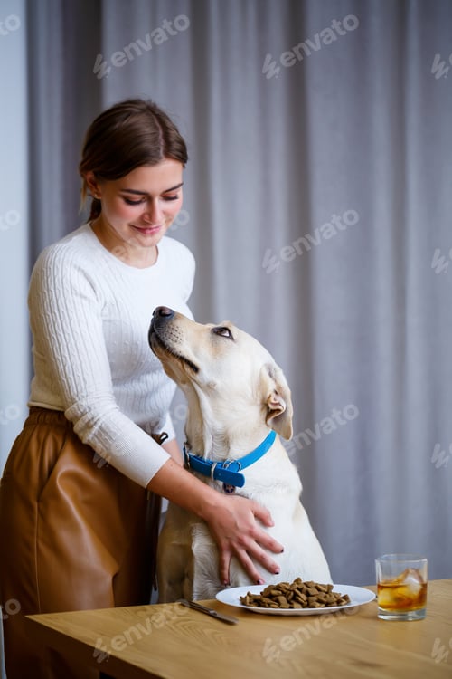Preview: Yellow Labrador Retriever is sitting at the table with his mistress. Dog food in a white plate