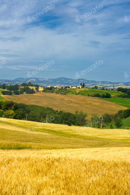 Preview: Rural landscape along the road from Fano to Mondavio, Marche