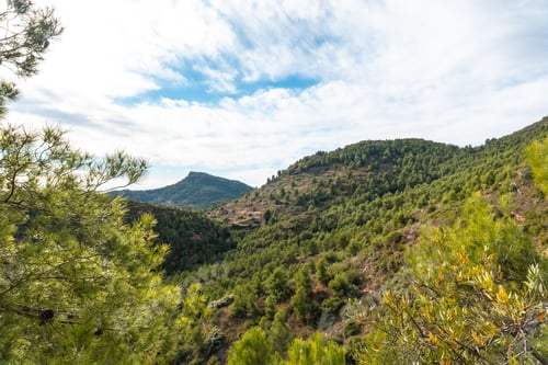 Preview: El Garbi Mountain, the spectacular viewpoint of the Sierra Calderona