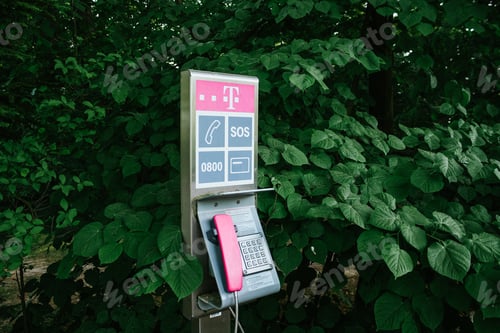 Preview: Old telephone in the middle of vegetation during daytime