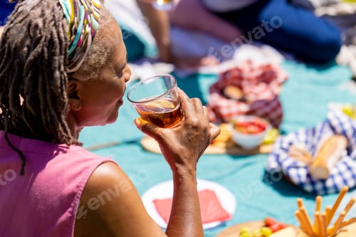 Preview: Happy senior diverse people sitting on blanket, having picnic and making toast in garden