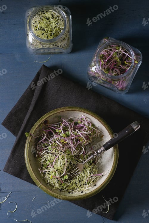 Preview: Fresh Sprouts salad